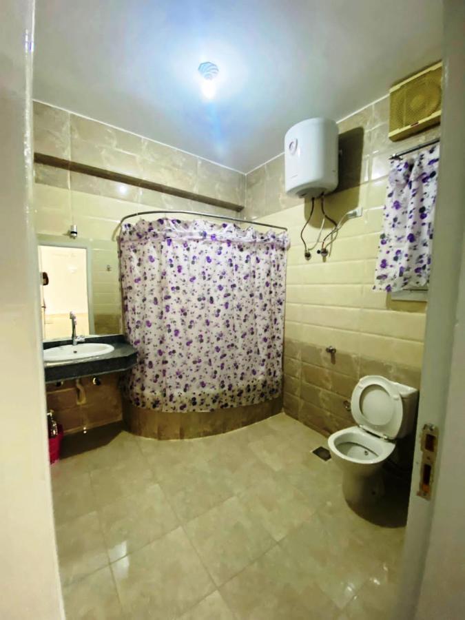 Temple House Apartment Luxor